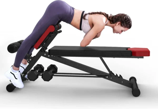 Multi-Functional Gym Bench for Full Body Workout