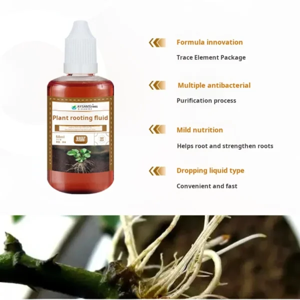 RapidRoot™ - Fast-Acting Root Stimulator for Thriving Plants - Image 5