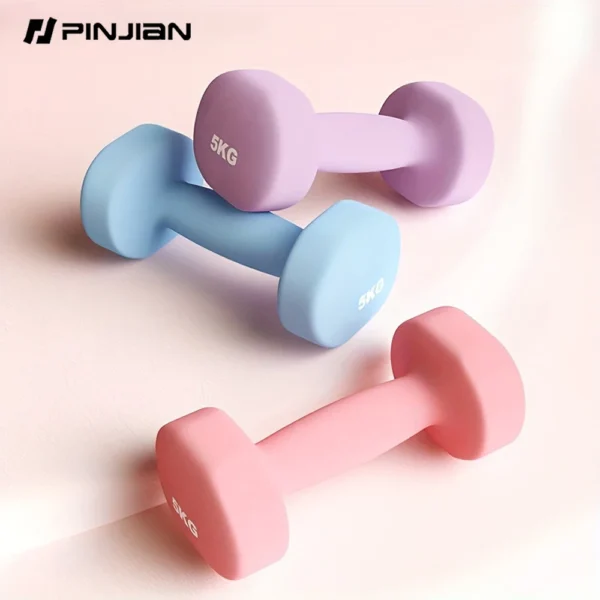 0.5x2KG Cast Iron Hand Weights Dumbbell Fitness Equipment