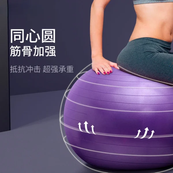 65CM PVC Fitness Ball - Image 2