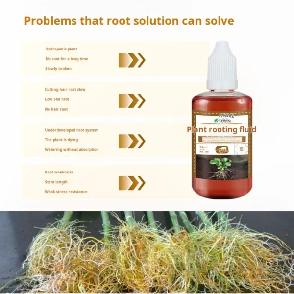 RapidRoot™ - Fast-Acting Root Stimulator for Thriving Plants - Image 6